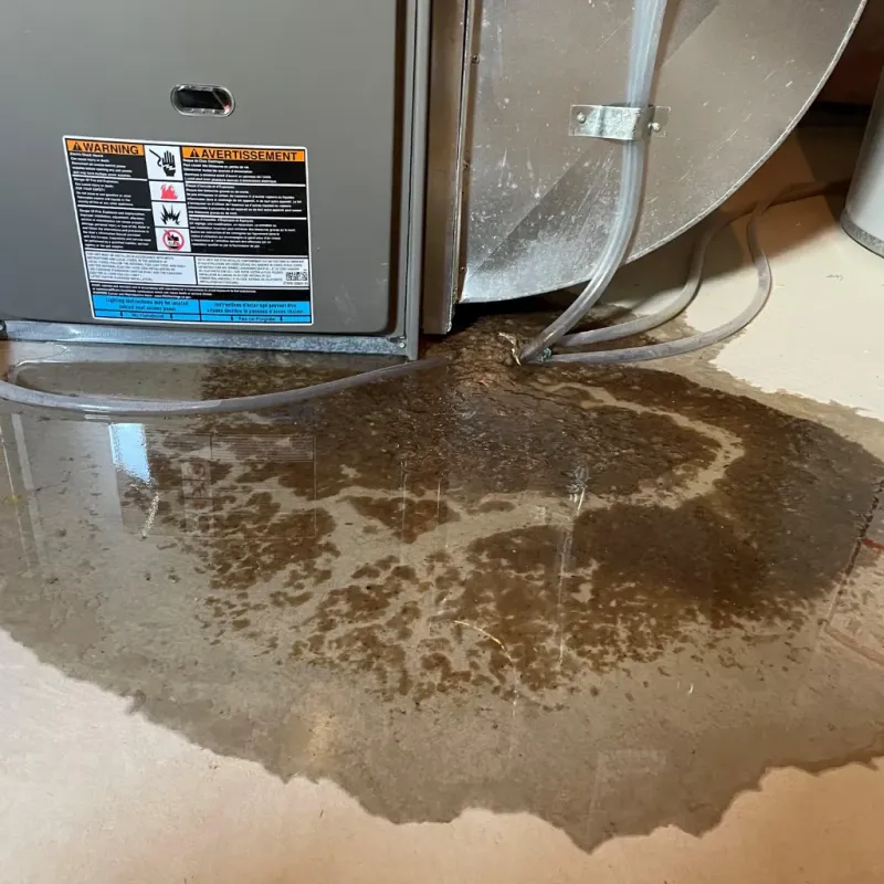 Appliance Leak Cleanup in New Plymouth, ID